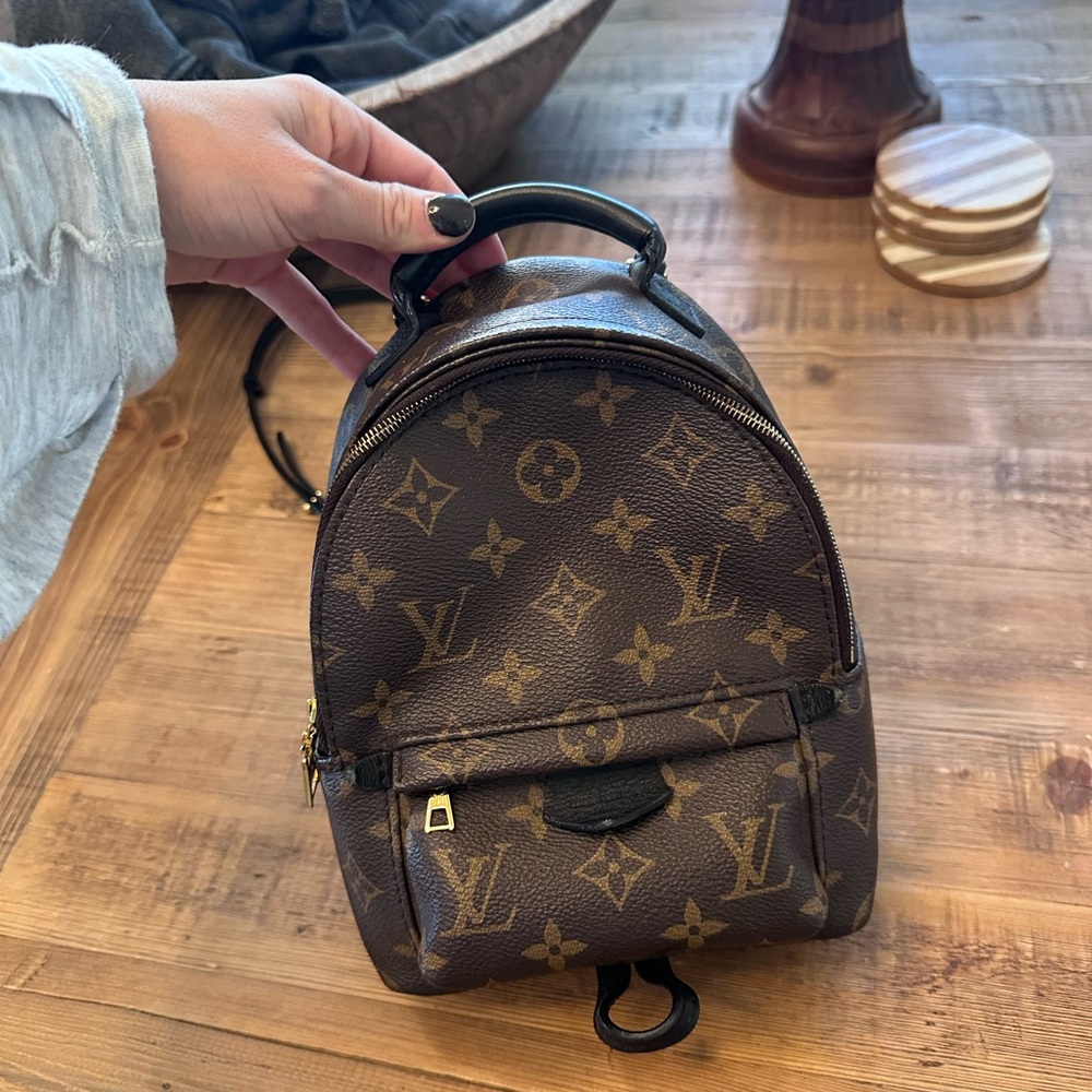 Louis Vuitton Palm Springs mini